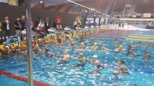 Совершенствование техники плавания юных спортсменов